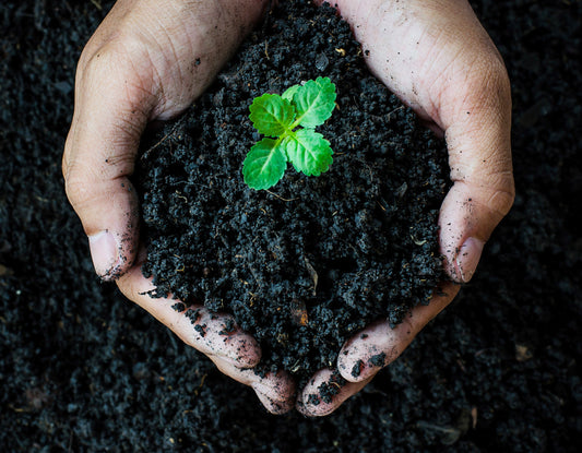 The human-soil connection
